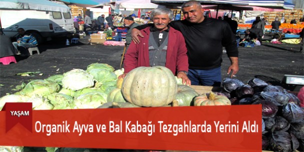 Organik Ayva ve Bal Kabağı Tezgahlarda Yerini Aldı