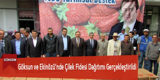 Göksun ve Ekinözü’nde Çilek Fidesi Dağıtımı Gerçekleştirildi
