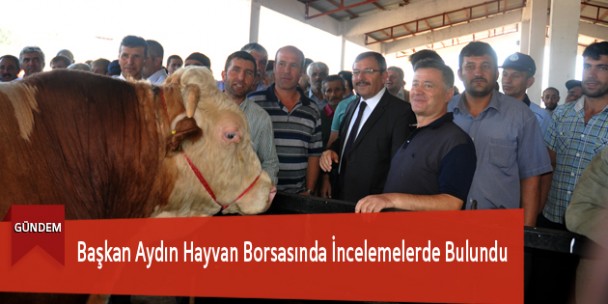 Başkan Aydın Hayvan Borsasında İncelemelerde Bulundu