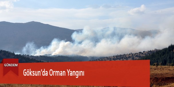 Göksun’da Orman Yangını