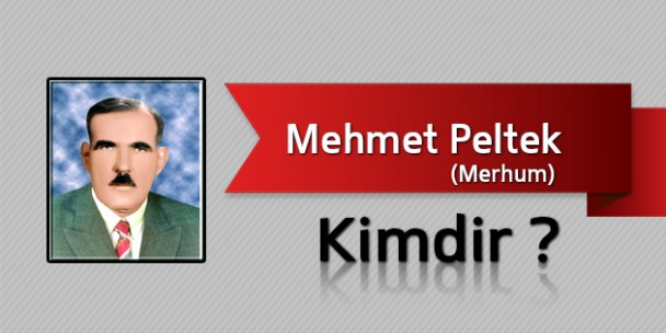 Mehmet Peltek Kimdir?