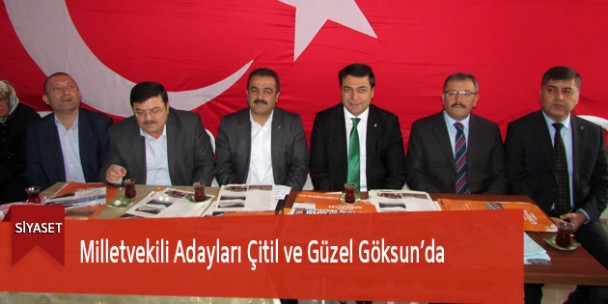 Milletvekili Adayları Çitil ve Güzel Göksun’da