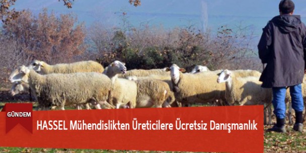 HASSEL Mühendislikten Üreticilere Ücretsiz Danışmanlık