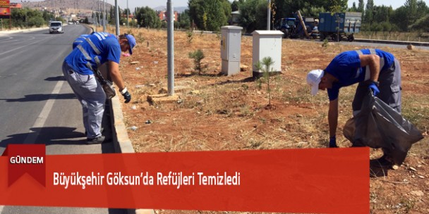 Büyükşehir Göksun’da Refüjleri Temizledi