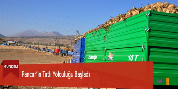 Pancar’ın Tatlı Yolculuğu Başladı