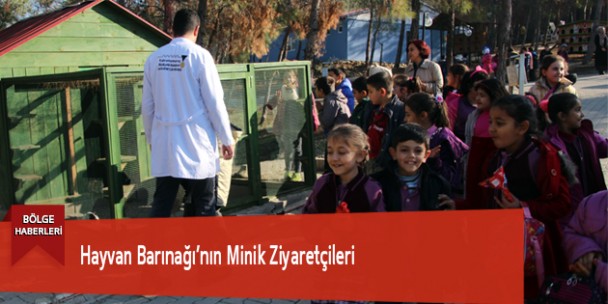 Hayvan Barınağı’nın Minik Ziyaretçileri