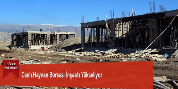 Canlı Hayvan Borsası İnşaatı Yükseliyor