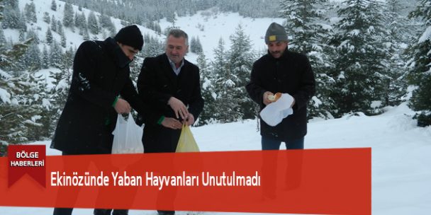 Ekinözünde Yaban Hayvanları Unutulmadı