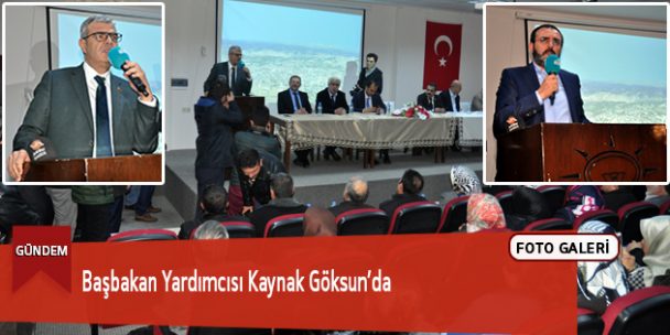 Başbakan Yardımcısı Kaynak Göksun’da