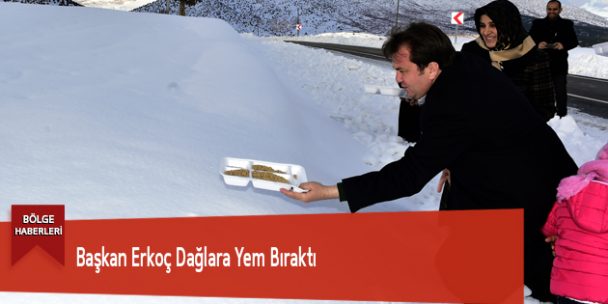 Başkan Erkoç Dağlara Yem Bıraktı