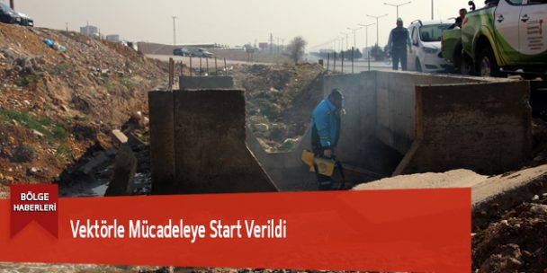 Vektörle Mücadeleye Start Verildi
