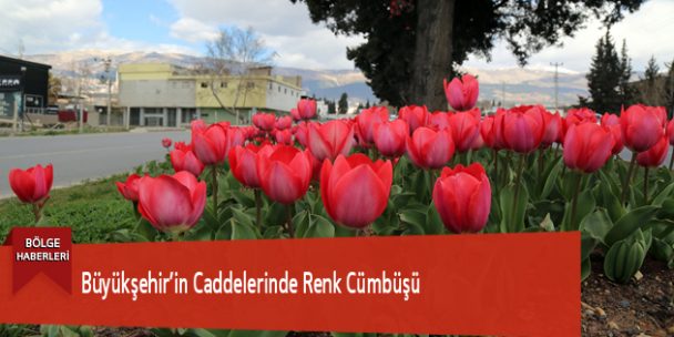 Büyükşehir’in Caddelerinde Renk Cümbüşü
