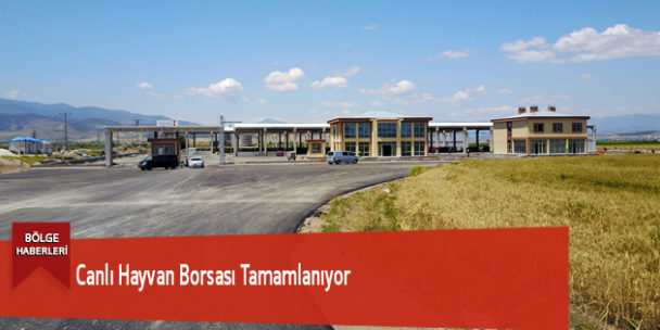Canlı Hayvan Borsası Tamamlanıyor