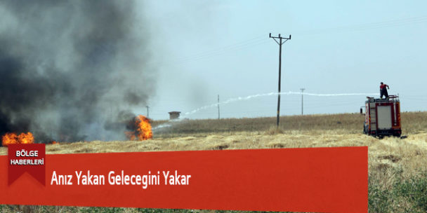 Anız Yakan Gelecegini Yakar