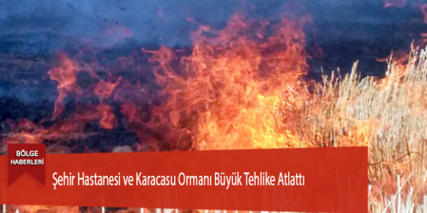 Şehir Hastanesi ve Karacasu Ormanı Büyük Tehlike Atlattı