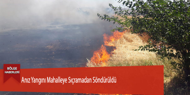 Anız Yangını Mahalleye Sıçramadan Söndürüldü