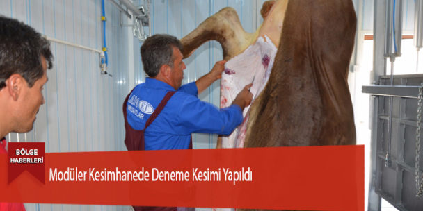 Modüler Kesimhanede Deneme Kesimi Yapıldı