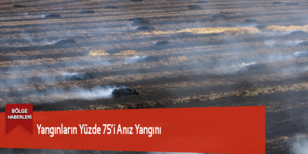 Yangınların Yüzde 75’i Anız Yangını