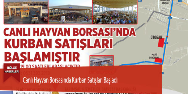 Canlı Hayvan Borsasında Kurban Satışları Başladı