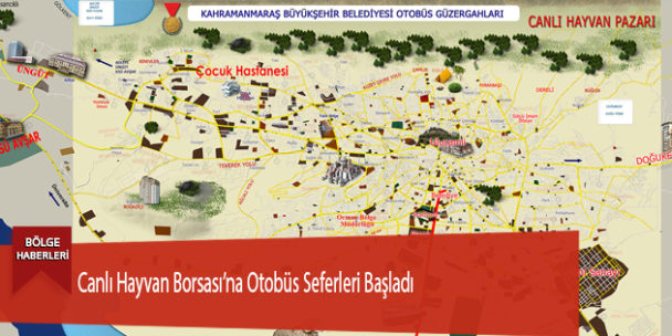 Canlı Hayvan Borsası’na Otobüs Seferleri Başladı