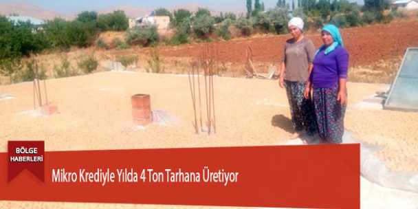 Mikro Krediyle Yılda 4 Ton Tarhana Üretiyor