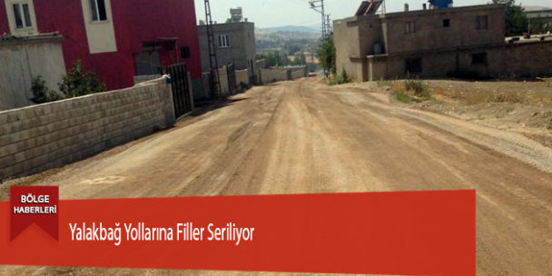 Yalakbağ Yollarına Filler Seriliyor