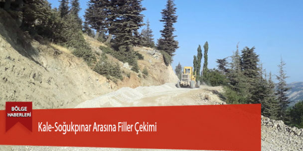 Kale-Soğukpınar Arasına Filler Çekimi
