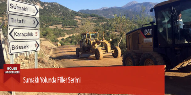 Sumaklı Yolunda Filler Serimi