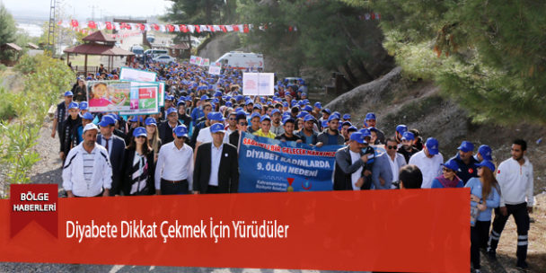 Diyabete Dikkat Çekmek İçin Yürüdüler