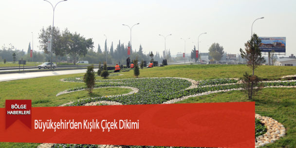 Büyükşehir’den Kışlık Çiçek Dikimi