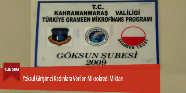Yoksul Girişimci Kadınlara Verilen Mikrokredi Miktarı