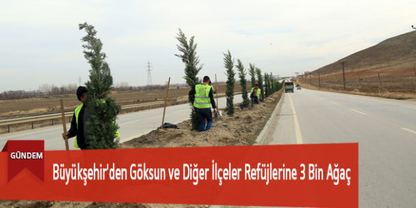 Büyükşehir’den Göksun ve Diğer İlçeler Refüjlerine 3 Bin Ağaç