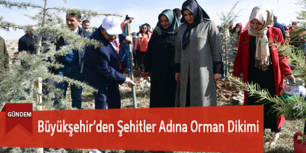 Büyükşehir’den Şehitler Adına Orman Dikimi