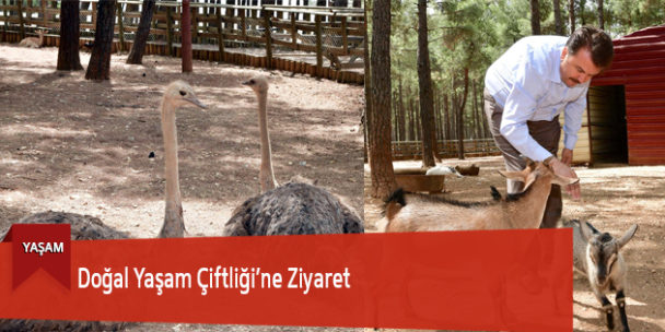 Doğal Yaşam Çiftliği’ne Ziyaret