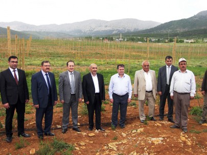 Göksun Elma Merkezi Oluyor