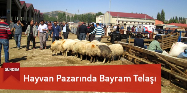 Hayvan Pazarında Bayram Telaşı