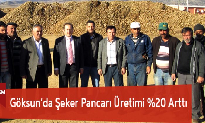 Göksun’da Şeker Pancarı Üretimi %20 Arttı