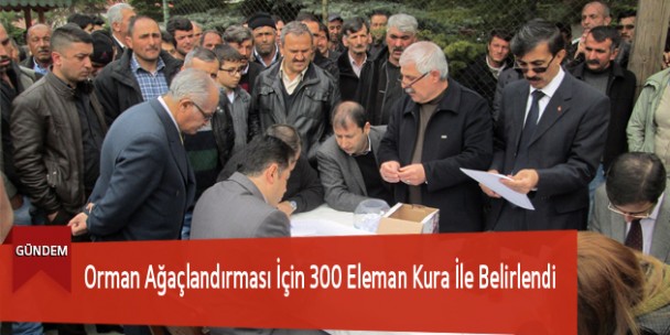 Orman Ağaçlandırması İçin 300 Eleman Kura İle Belirlendi