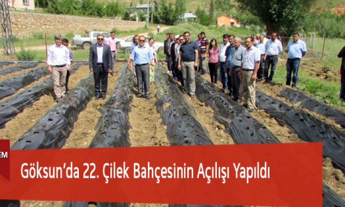 Göksun’da 22. Çilek Bahçesinin Açılışı Yapıldı