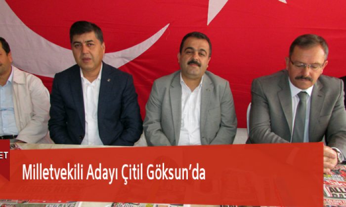 Milletvekili Adayı Çitil Göksun’da