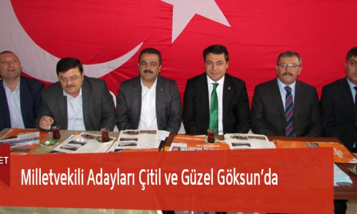 Milletvekili Adayları Çitil ve Güzel Göksun’da