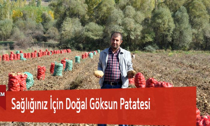 Sağlığınız İçin Doğal Göksun Patatesi