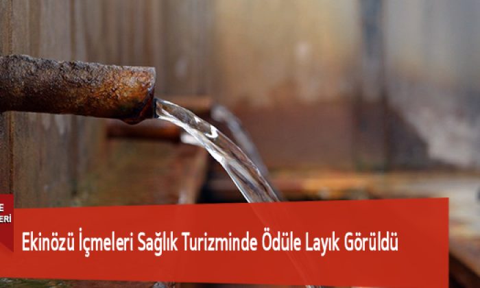 Ekinözü İçmeleri Sağlık Turizminde Ödüle Layık Görüldü