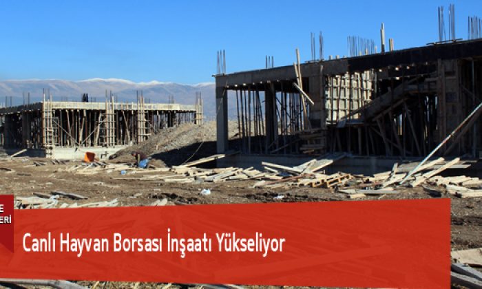 Canlı Hayvan Borsası İnşaatı Yükseliyor