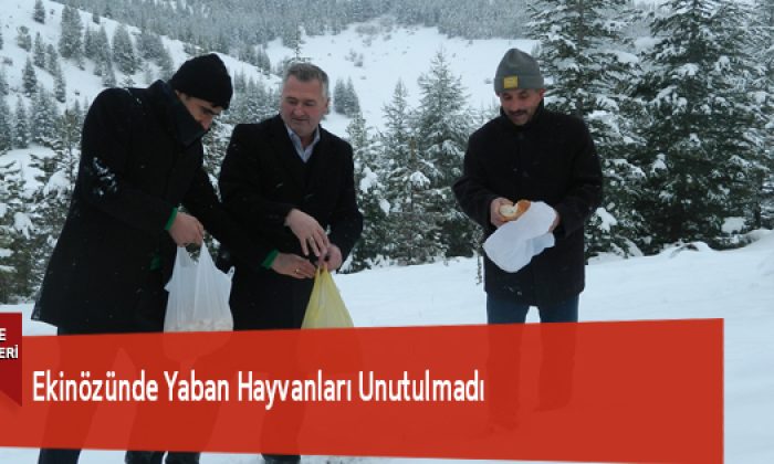 Ekinözünde Yaban Hayvanları Unutulmadı