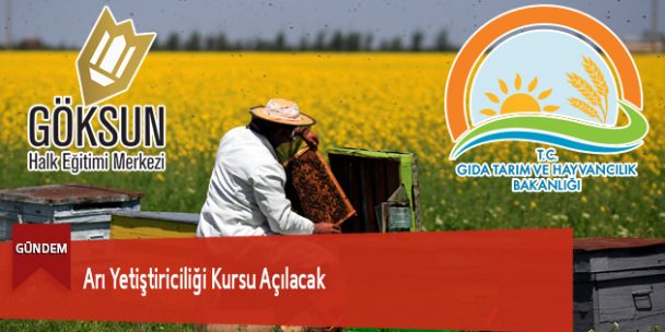 Arı Yetiştiriciliği Kursu Açılacak