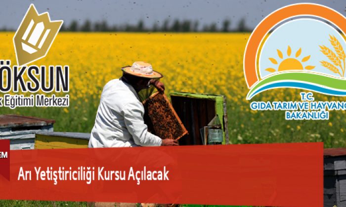 Arı Yetiştiriciliği Kursu Açılacak