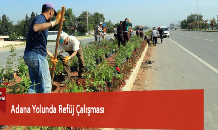 Adana Yolunda Refüj Çalışması