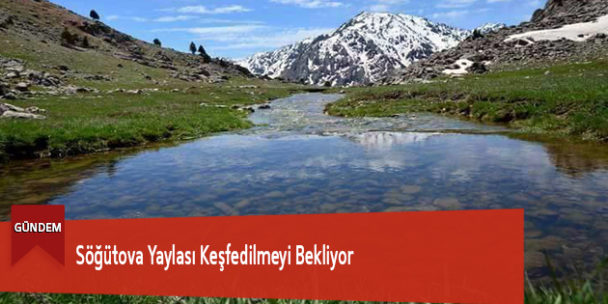 Söğütova Yaylası Keşfedilmeyi Bekliyor