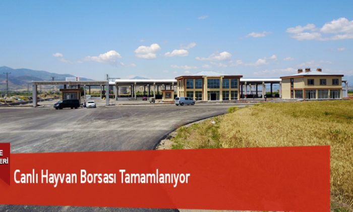 Canlı Hayvan Borsası Tamamlanıyor
